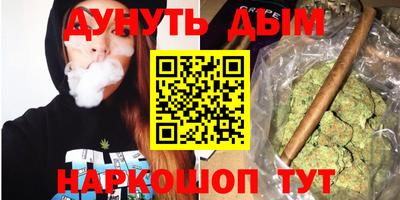 сатива Беслан